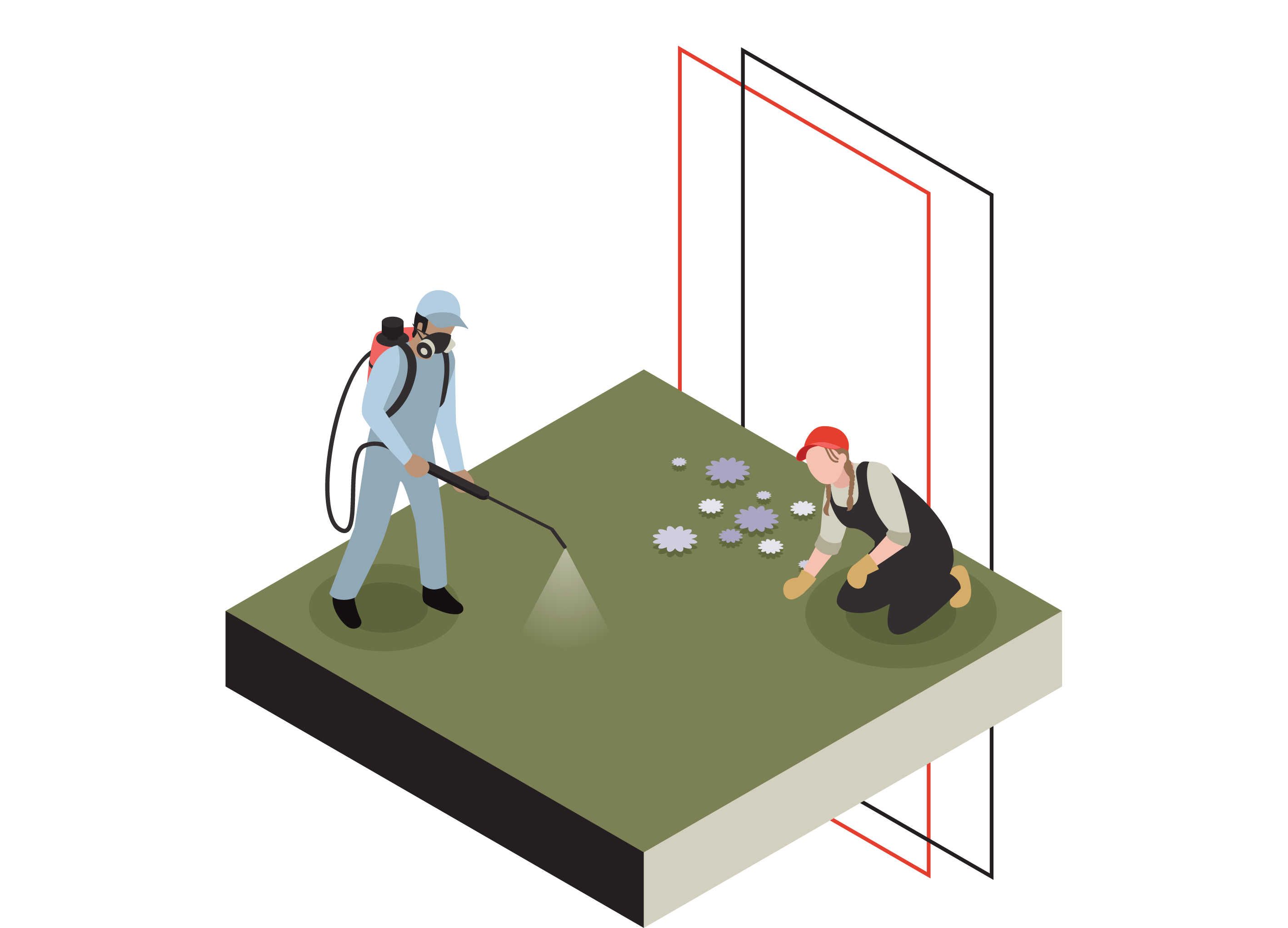pest control graphic