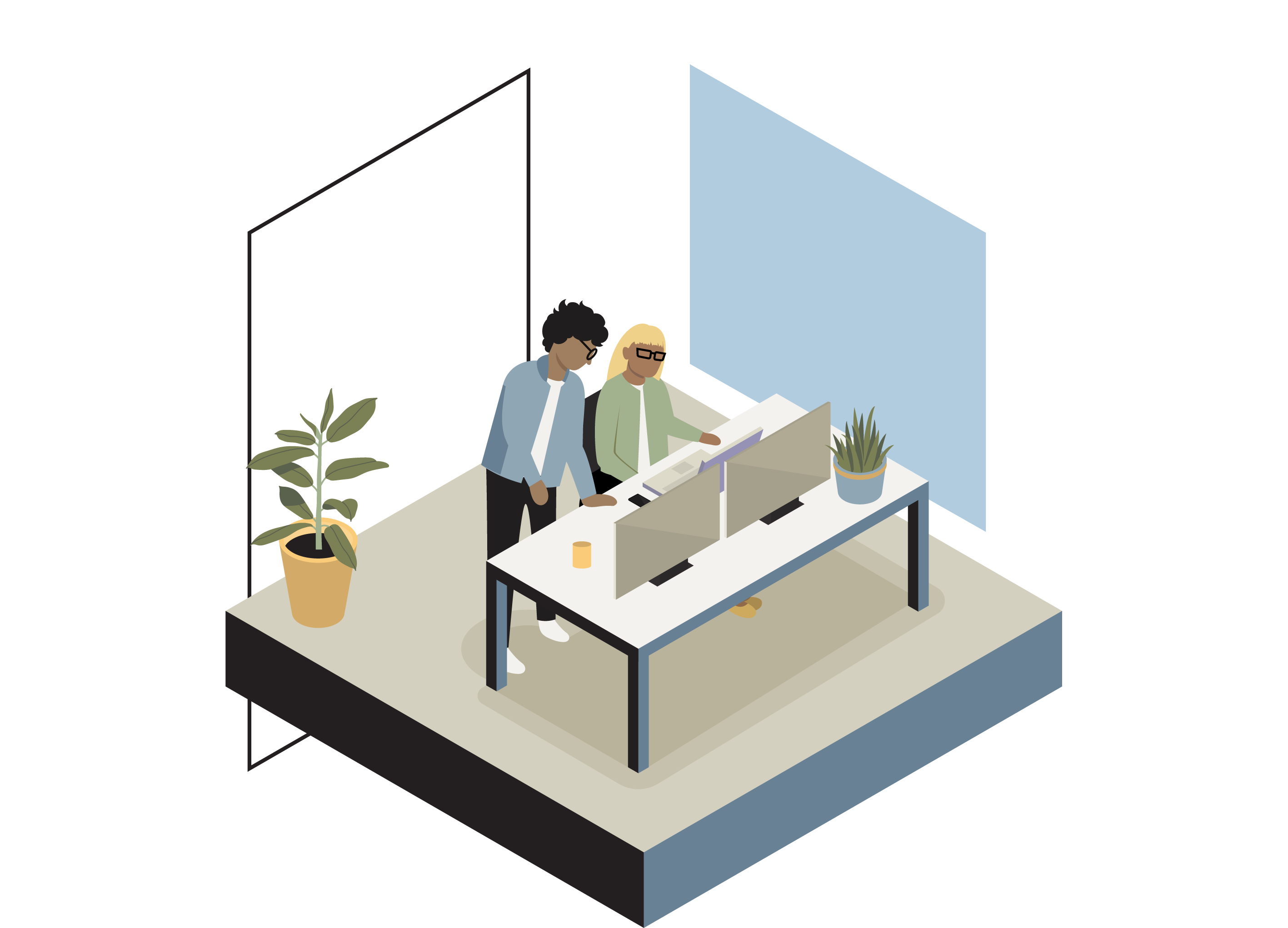 software graphic